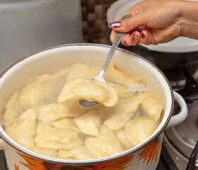Dumplings cooked in a saucepan.