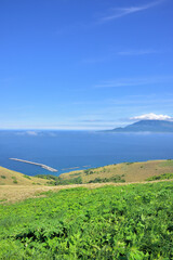 北海道　礼文島・桃岩展望台からの眺望