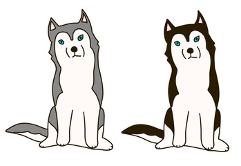 2匹の色違いのシベリアンハスキー
