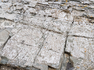 Abstract texture of rock near to the sea