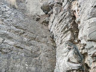 Abstract texture of rock near to the sea