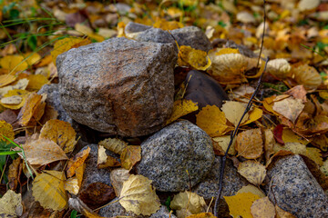 A small pile of gray stones lies in the autumn grass and foliage