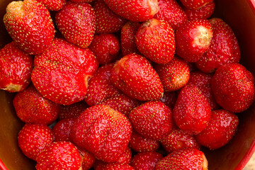 Red strawberries lie in a wooden plate.