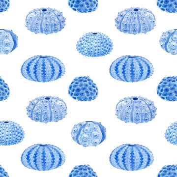 Beautiful vector seamless underwater pattern with watercolor sea urchin. Stock illustration.
