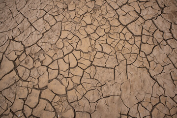 dry ground