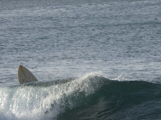 Fototapeta premium Surf