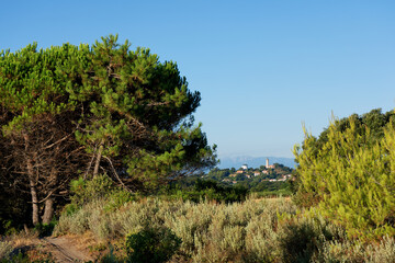 Fototapeta na wymiar Coastal path and Alistro lighthouse in eastern plain of Corsica 