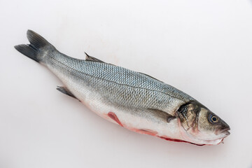 Sea bass with white background