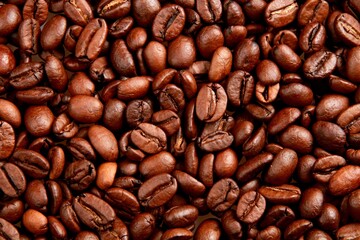 Coffee bean.