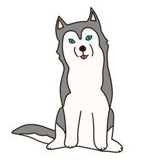 おすわりｋをするシベリアンハスキー