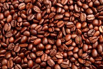 Coffee bean.