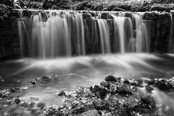 black and white waterfall with fuzzy water, in a forest thicket