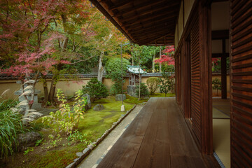 秋の京都、紫野の大徳寺塔頭 興臨院の庭園