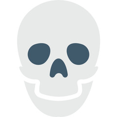 
Skull Flat Vector Icon
