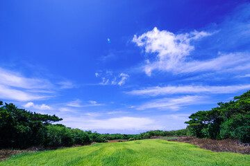 青い空と森