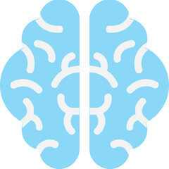 
Brain Flat Vector Icon
