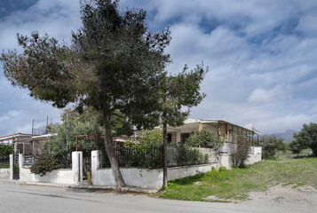 Fototapeta na wymiar A pine big tree outside a countryside old house in Nea Peramos, Greece