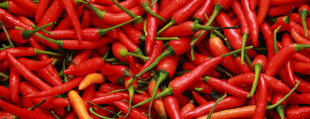 hot red hot peppers on a weekly market