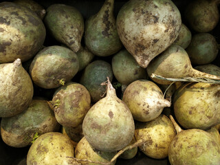 Turnip. Macro photography. Fresh turnips are on the counter at the market. The texture of the background of fresh turnips. Texture. Background. Vegetables.
