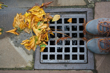 male Shoes - sneakers stand on drain cover that fill of falling yellow and brown  leaves.autumn...