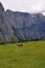 Seletalm am K&ouml;nigssee