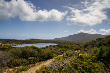 Cape Raoul, Tasmania.
OLYMPUS DIGITAL CAMERA