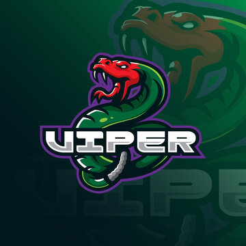 vipers mascot logo design vector with modern illustration concept style for badge, emblem and tshirt printing. angry vipers illustration.