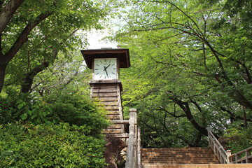 Fototapeta na wymiar 飛鳥山公園の時計台