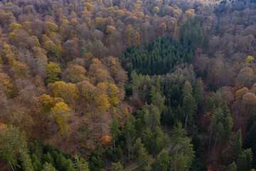 Herbststra&szlig;e von Oben
