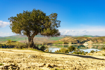 Spanish nature landscape in Andalucia.