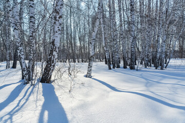 Winter forest on a Sunny day. The snow is shaded by trees.