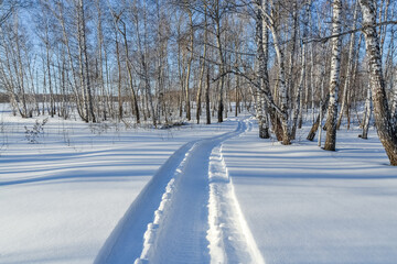 Obraz premium Winter forest. Snowmobile tracks in the snow.