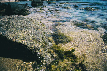 Close-up of a rock and some green algae growing under the sea