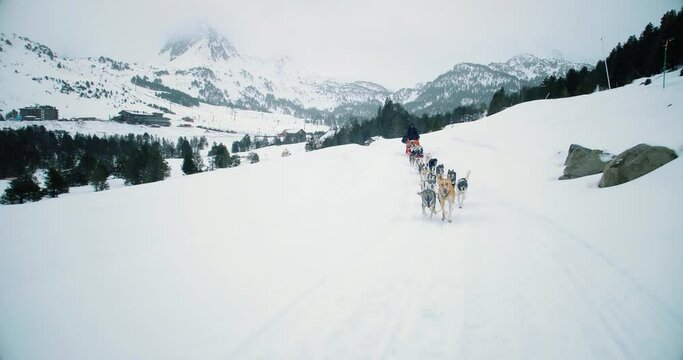 Dog sledding in snowy mountains. Husky dogs run towards us with snow and mountains all over the horizon 4K