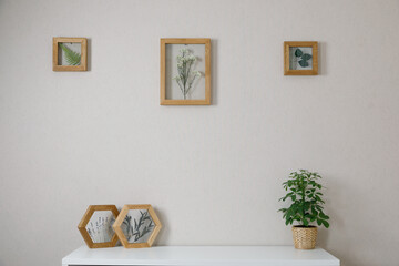 herbarium decoration for interior handmade. workshop for the production of wooden frames with flowers.