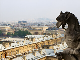 Chimera at Notre Dame de Paris