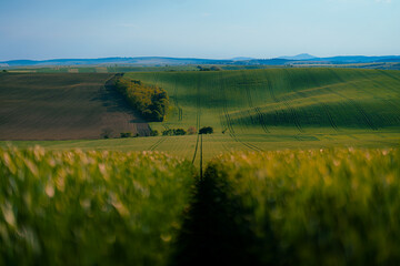 Wonderful landscape of Moravian Tuscany, Czech Republic