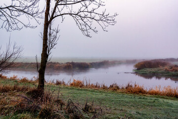 Jesień w Dolinie Narwi, Podlasie, Polska © podlaski49
