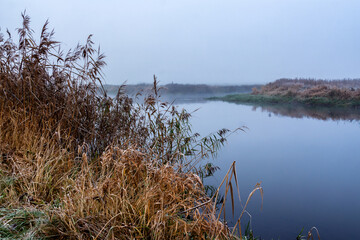 Jesień w Dolinie Narwi, Podlasie, Polska © podlaski49