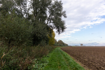 Oostwaard in the Brabantse Biesbosch in The Netherlands.