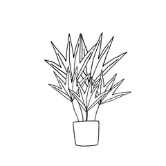 Houseplants in pots. Decoration for the interior of the house, apartment. Plants with leaves in flowerpots. Doodle style vector. Freehand drawing.
