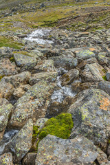 Running water in a small stream in a mountain ravine
