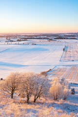 Fototapeta premium Frosty trees in a scenics winter landscape