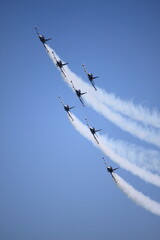 Frecce Tricolori