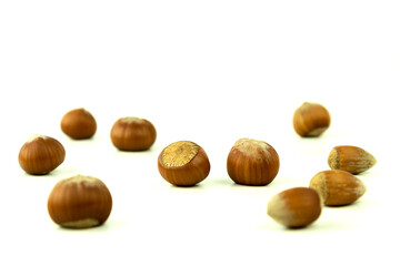 Hazelnut on a white background with space for text