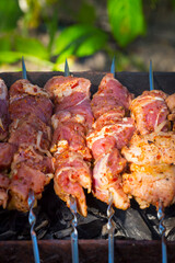 Close up view of roasted meat prepairing on barbeque.