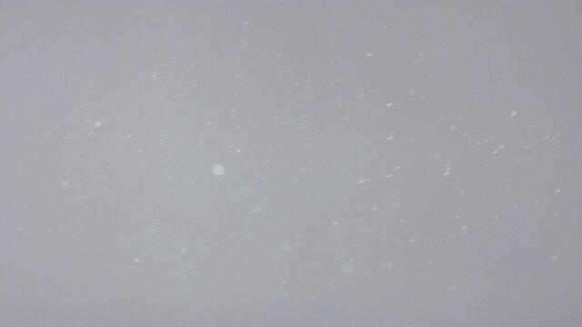 Dust particles flying in front of a computer screen (LCD pixels, gray neutral color). Macro shot.
