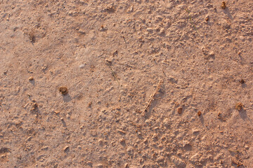 concrete slab background on the road, top view
