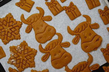preparation of holiday cookies for christmas, uncooked cookies in the form of a new year's 2021 symbol cow or bull from raw dough