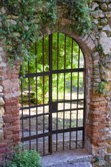 Old gate in old wall